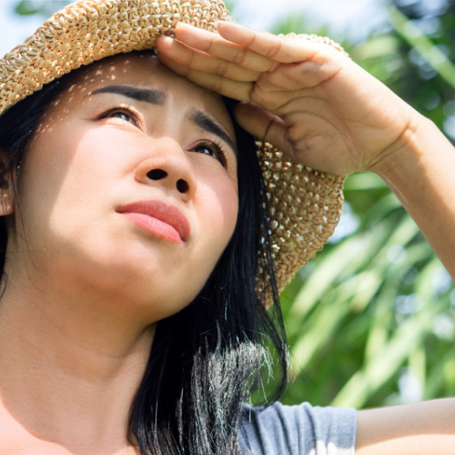 Sun Protection & Repair